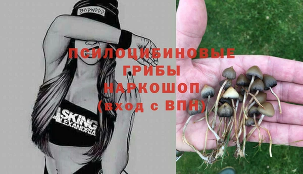 мдпв Балабаново