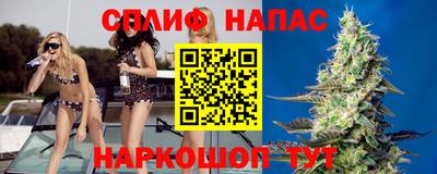 гашик Волжск