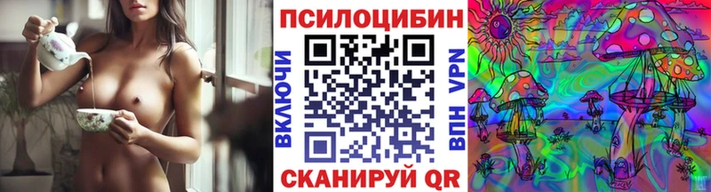 Галлюциногенные грибы Psilocybe  Спасск-Дальний 