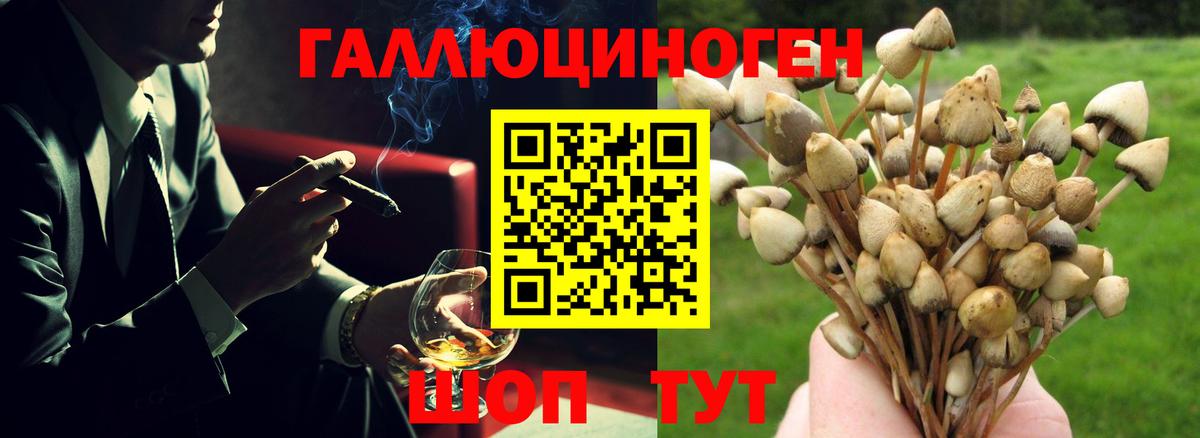 Спасск-Дальний  Псилоцибиновые грибы Magic Shrooms  Вход с VPN 