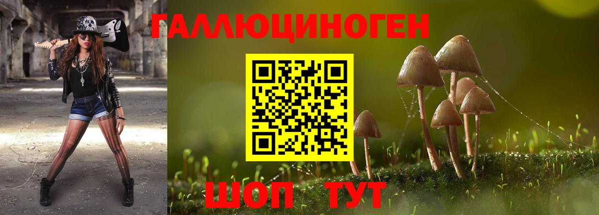Псилоцибиновые грибы Cubensis Спасск-Дальний